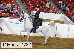 14buck_3237 proof