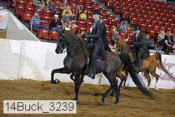 14buck_3239 proof