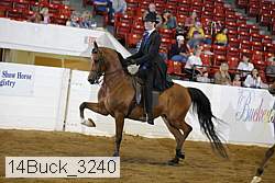 14buck_3240 proof