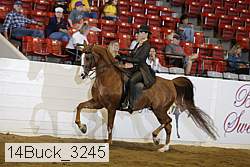 14buck_3245 proof