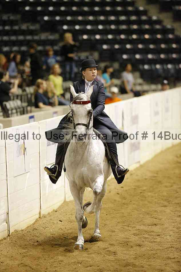 Proof 14buck_3246