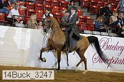 14buck_3247 proof