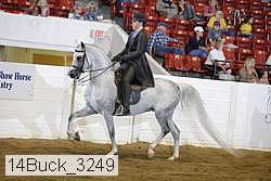 14buck_3249 proof