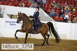 14buck_3254 proof