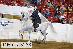 14buck_3258 proof