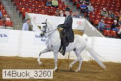 14buck_3260 proof