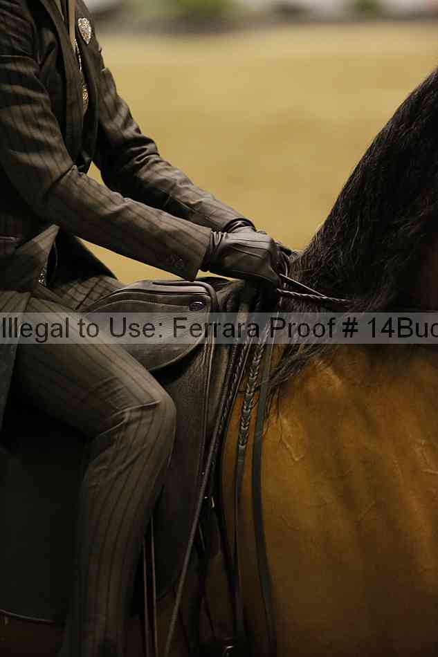 Proof 14buck_3264