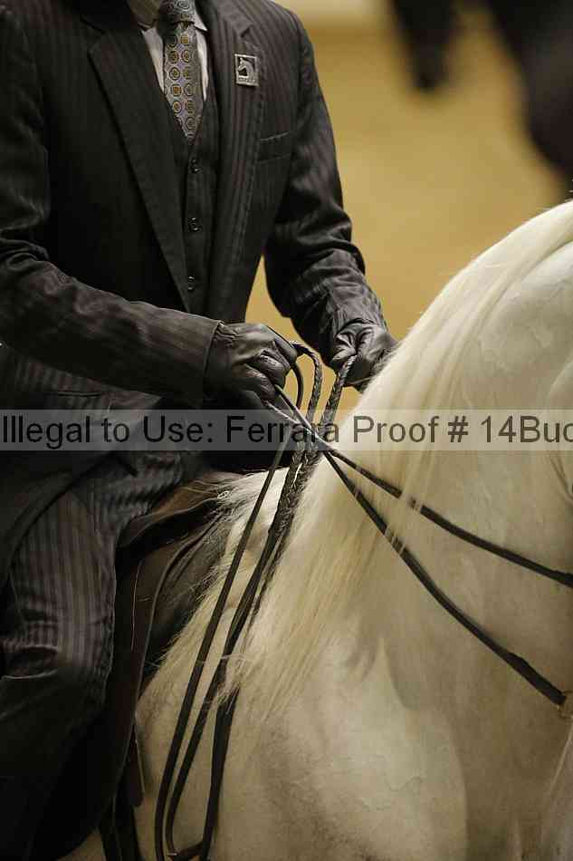 Proof 14buck_3265