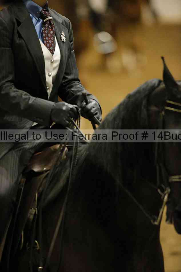 Proof 14buck_3266