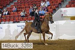 14buck_3268 proof