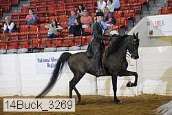 14buck_3269 proof