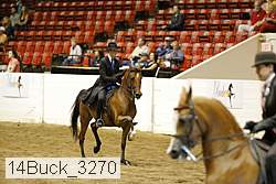 14buck_3270 proof