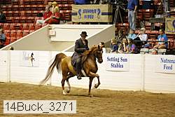 14buck_3271 proof