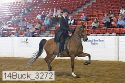 14buck_3272 proof