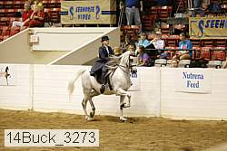 14buck_3273 proof