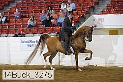 14buck_3275 proof