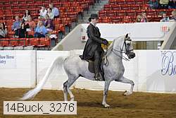 14buck_3276 proof