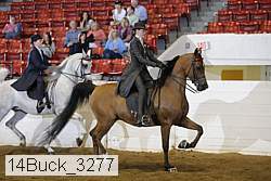 14buck_3277 proof