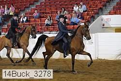 14buck_3278 proof