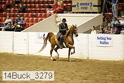 14buck_3279 proof