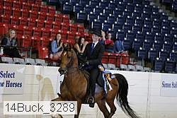 14buck_3289 proof