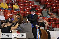 14buck_3294 proof
