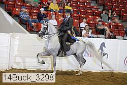 14buck_3298 proof