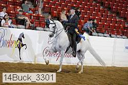 14buck_3301 proof