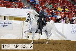 14buck_3302 proof
