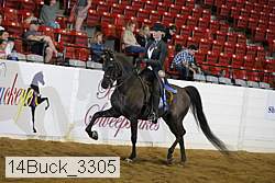 14buck_3305 proof