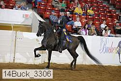 14buck_3306 proof