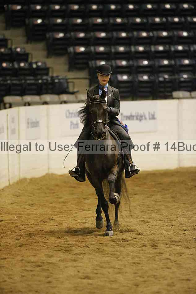 Proof 14buck_3307