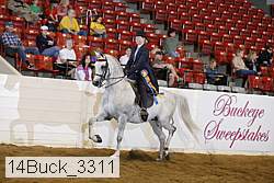 14buck_3311 proof
