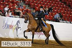 14buck_3313 proof