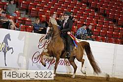 14buck_3322 proof