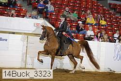 14buck_3323 proof