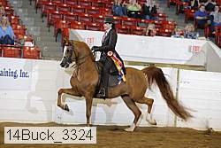 14buck_3324 proof