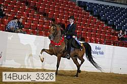 14buck_3326 proof