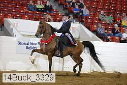 14buck_3329 proof