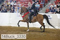 14buck_3330 proof