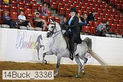 14buck_3336 proof