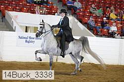 14buck_3338 proof
