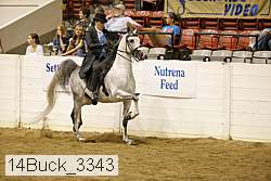 14buck_3343 proof