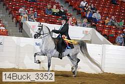 14buck_3352 proof