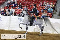 14buck_3354 proof