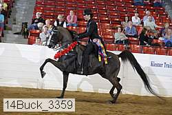 14buck_3359 proof