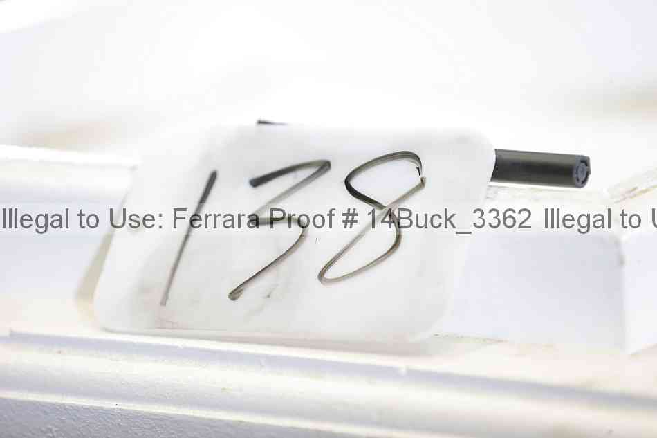 Proof 14buck_3362