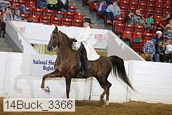 14buck_3366 proof