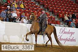 14buck_3367 proof