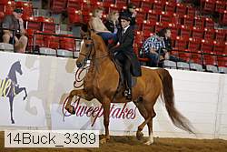 14buck_3369 proof